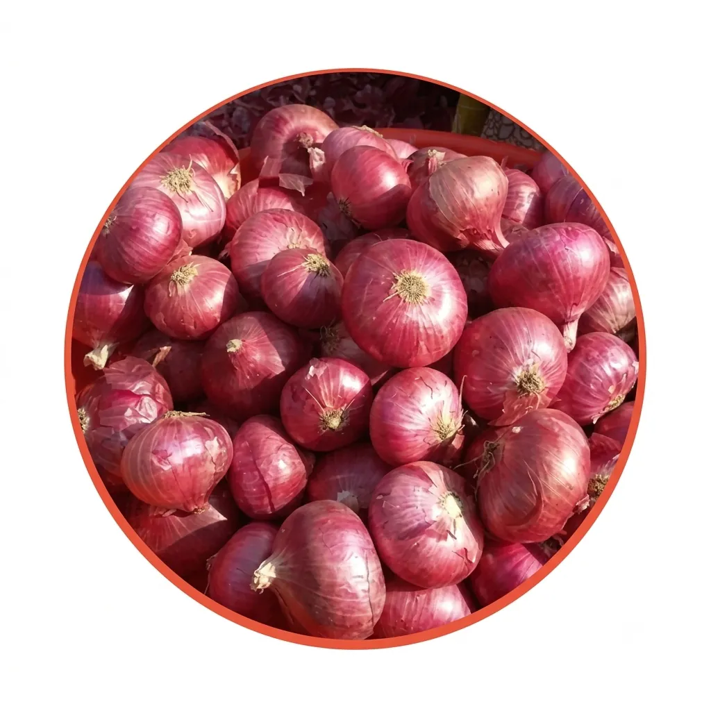 Indian Red Onion Medium (5kg)