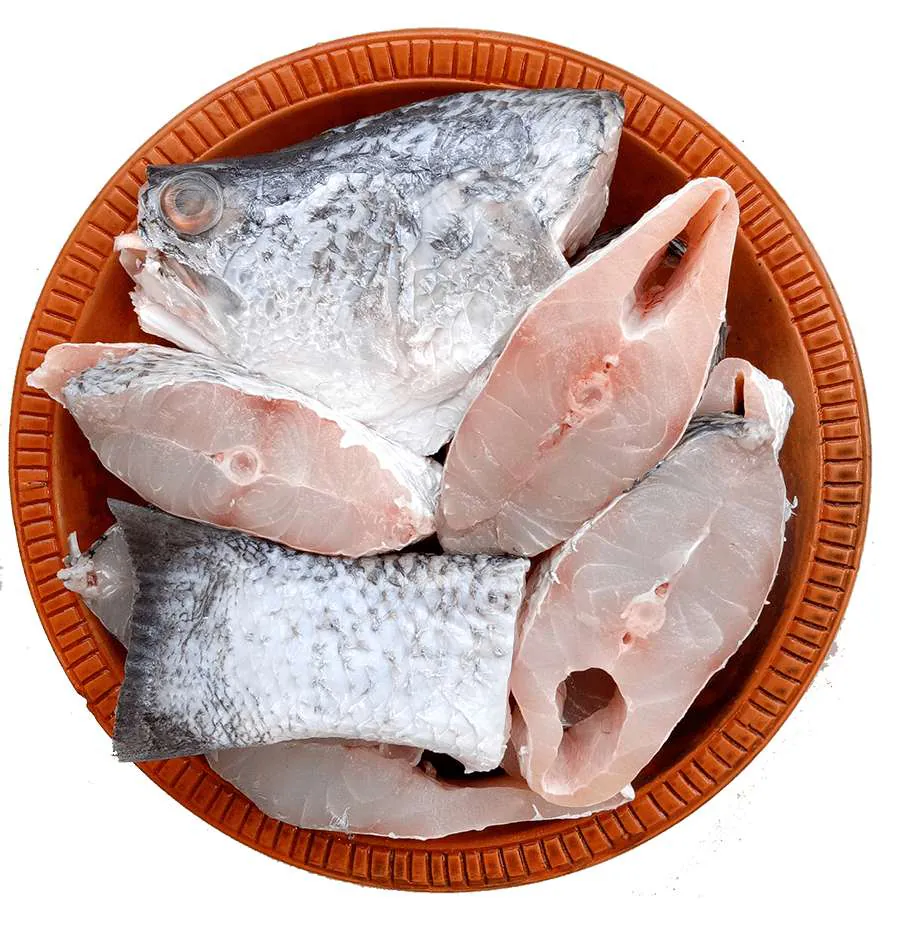 Koral / Bhetki Fish 800gm Frozen Block Koral / Bhetki Fish 800gm Frozen Block