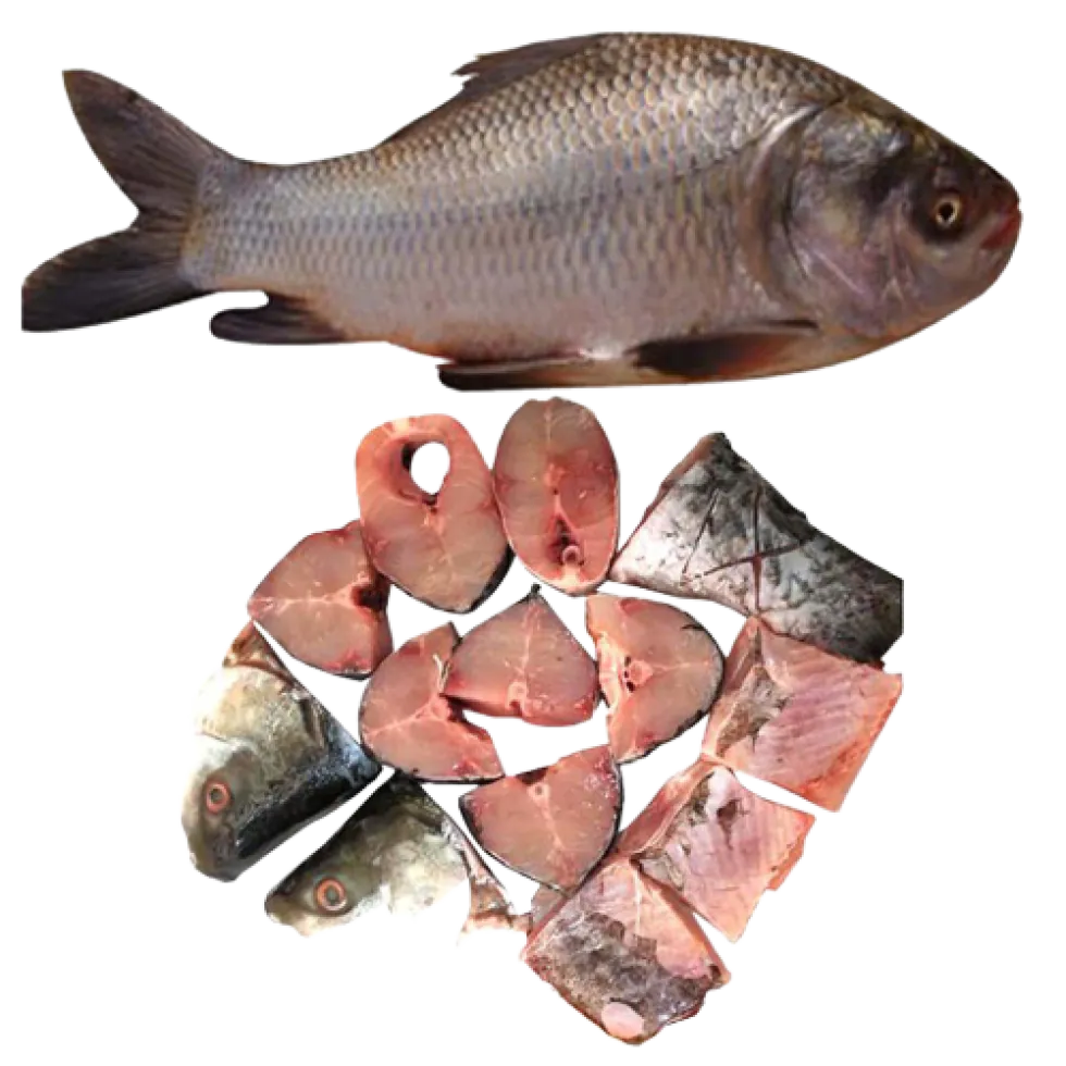 Bhokua /Catla/ Katla / Katol Clean Cut Forzen (800g) Block Bhokua /Catla/ Katla / Katol Clean Cut Forzen (800g) Block