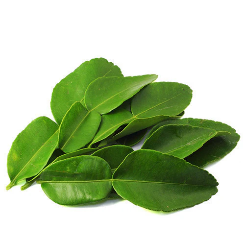 Lime  / Lemon Leaf (100gm)