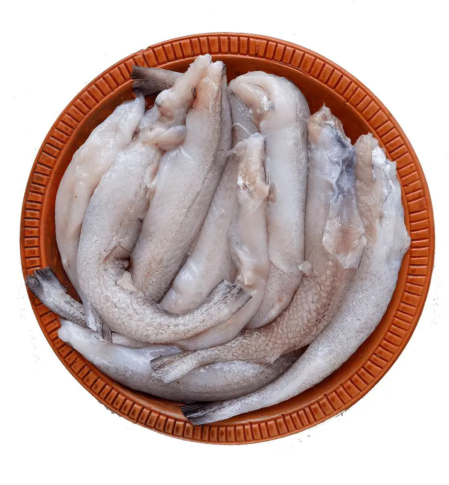 Frozen Lotia /Loitta Fish Cleaned 500g Frozen Lotia /Loitta Fish Cleaned 500g