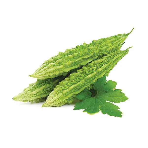 Fresh Bitter Gourd (Karela / Korola ) 2pc