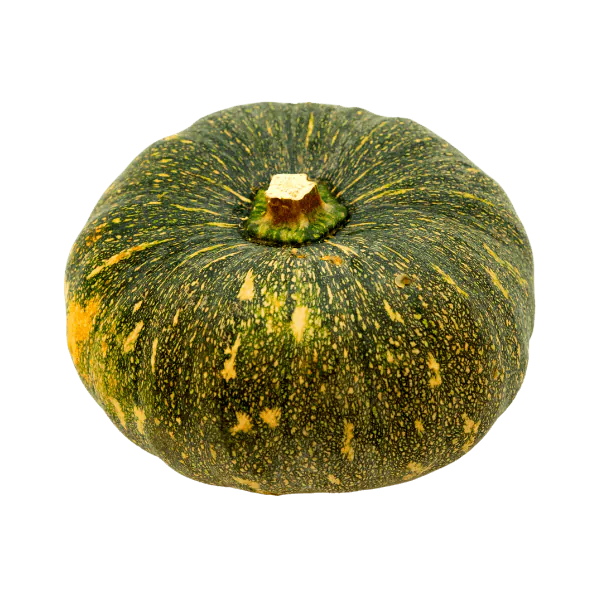 Fresh pumpkin /Misty Kumra 1.1kg-1.6kg