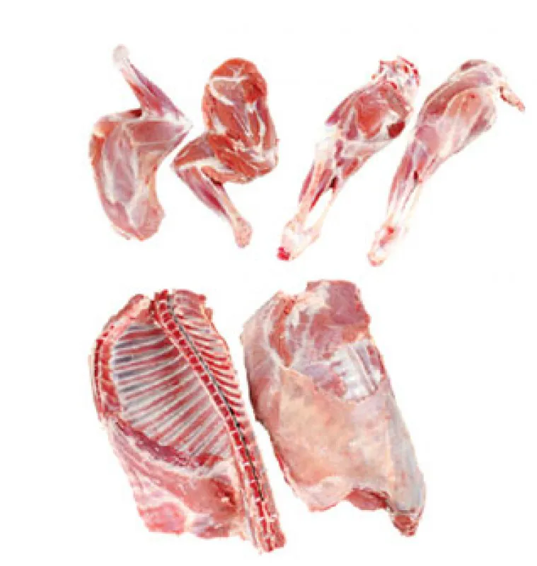 Lamb Carcass  Whole Lamb Cut [6 Pieces]