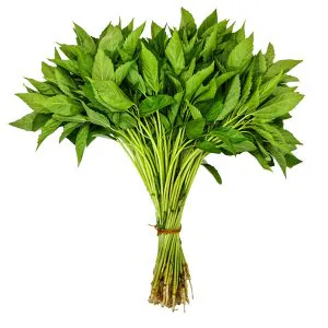 Fresh Pat Sakh / Jute Leaves / পাট শাক 150-170g