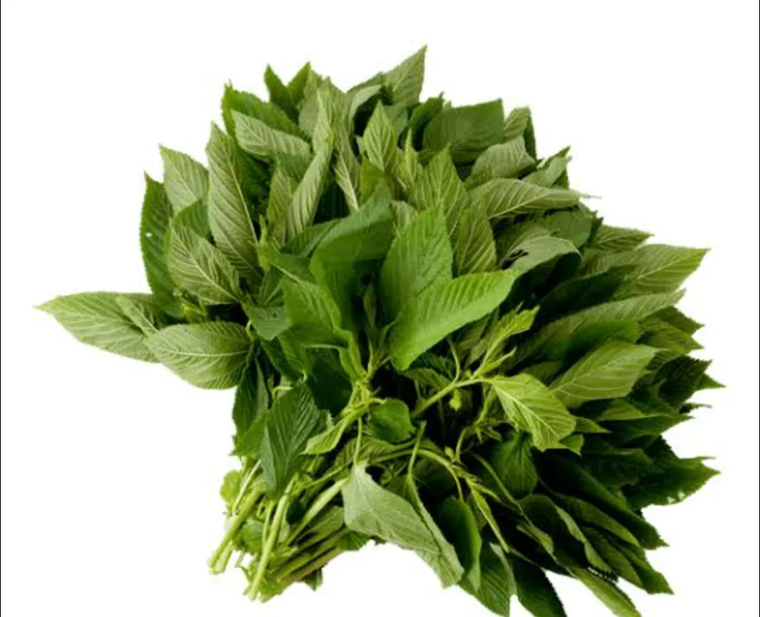 Fresh Pat Sakh / Jute Leaves / পাট শাক 150-170g
