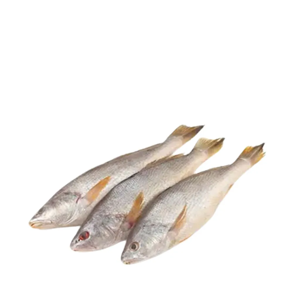 Frozen Powa /Poa Fish (500g) 冷凍モラ魚 Block Frozen Powa /Poa Fish (500g) 冷凍モラ魚 Block
