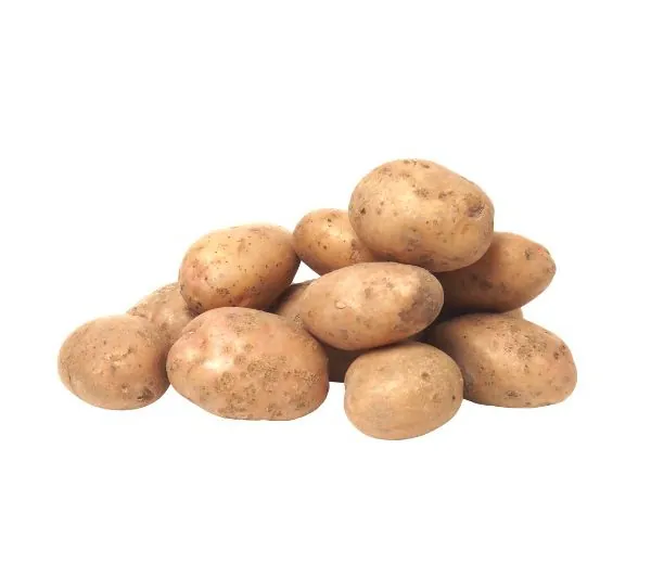 Potato Regular Size (1.5kg)