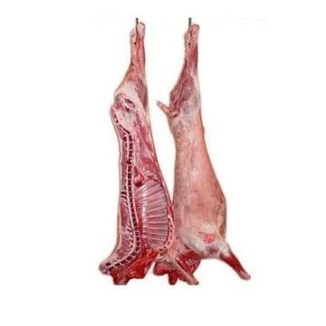 Mutton