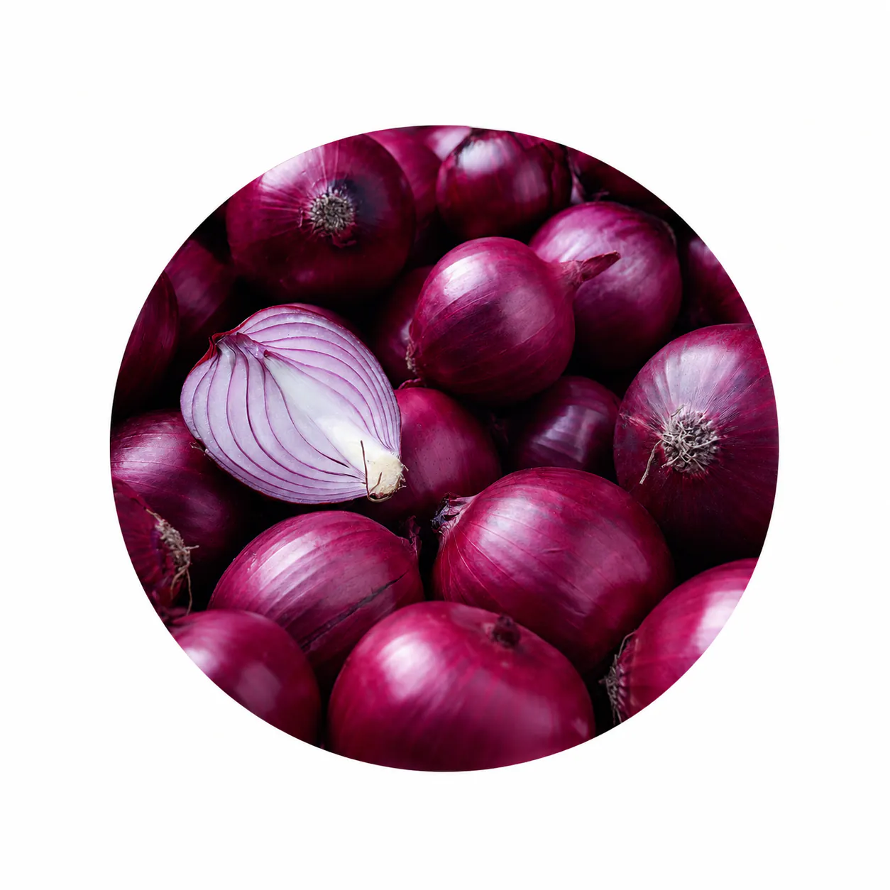 Red Onion 10kg (±100g)