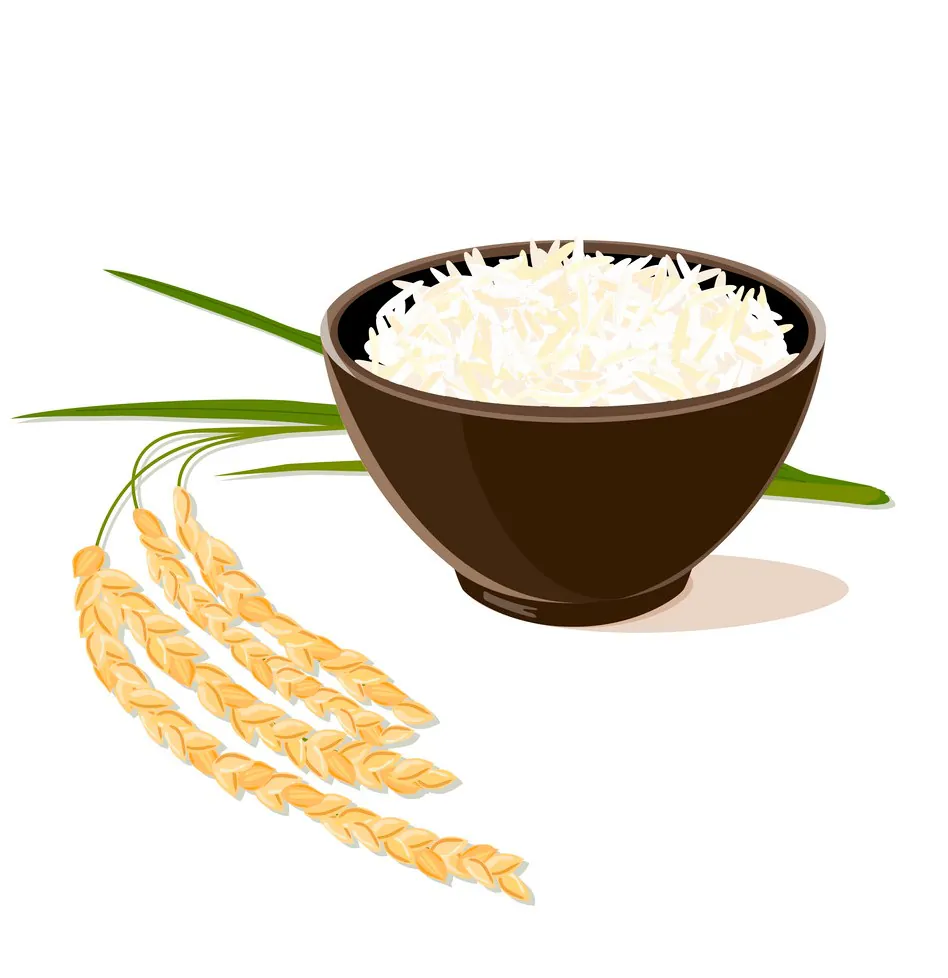 Rice & Flours