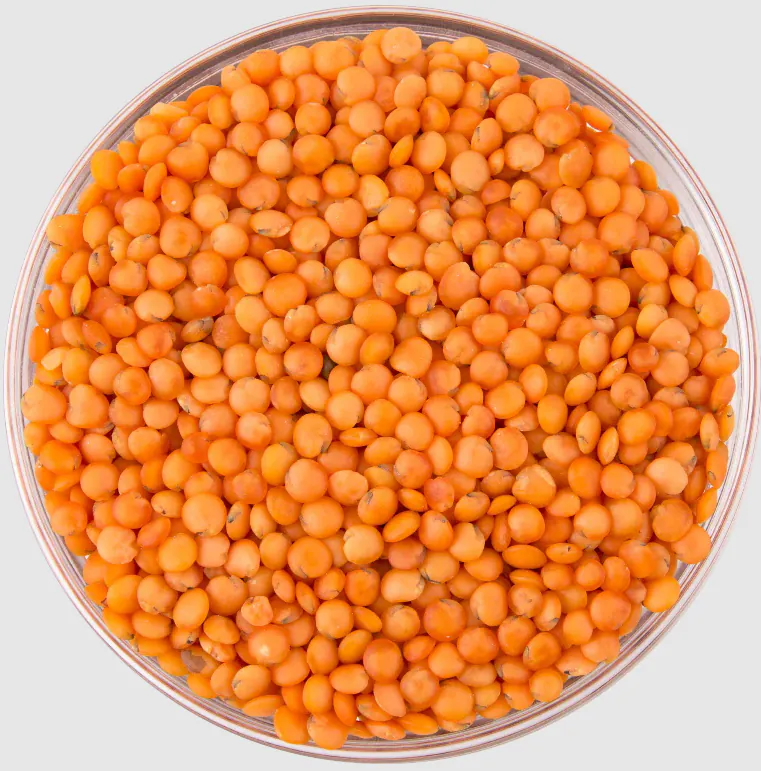 Masoor Dal  / Red Lentils Split (3kg)