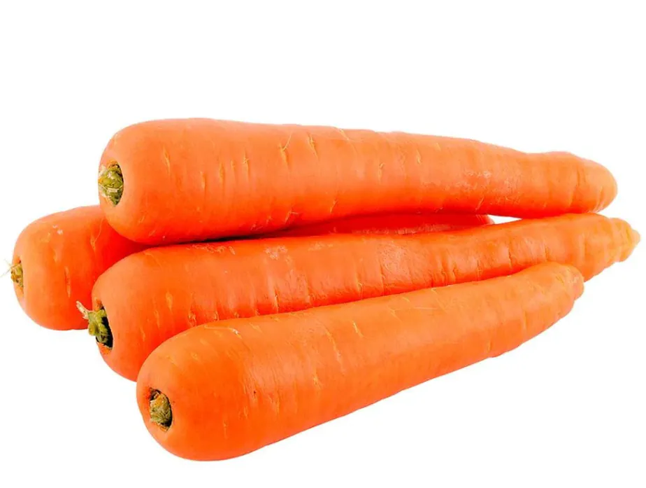Fresh Carrots (500g) にんじん