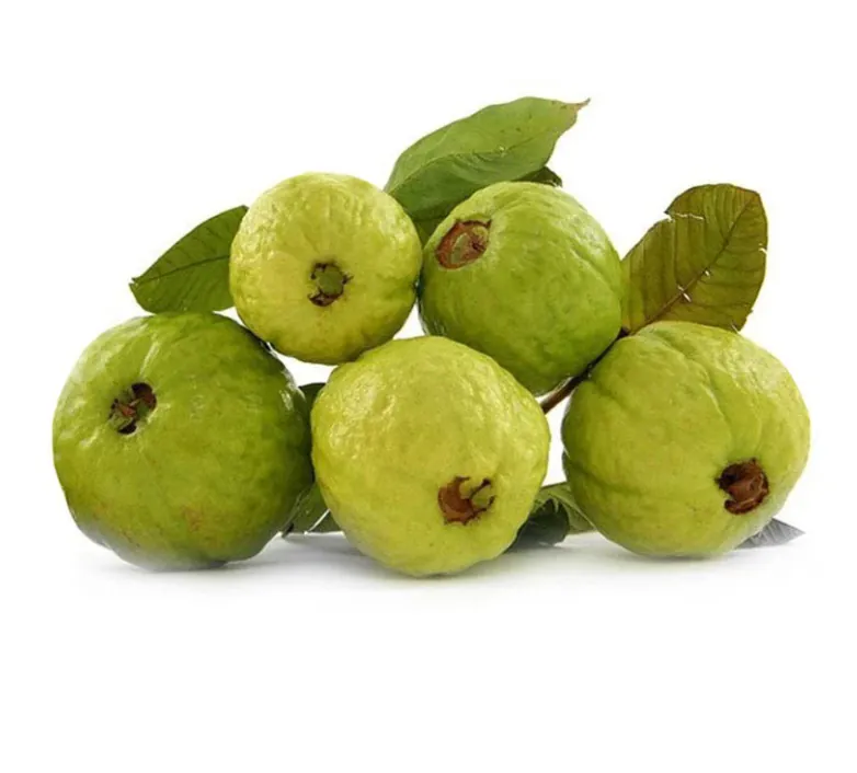Fresh Guava/ Peyara 500g