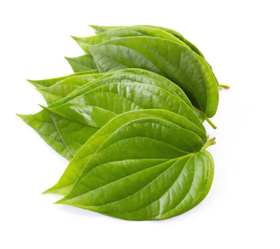 Betel Leaves Fresh (Pan Pata) (250g)