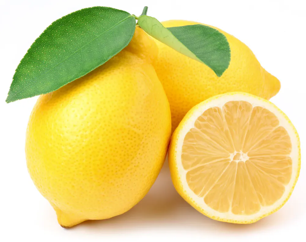 Fresh Lemon (6pcs) (Combo) レモン
