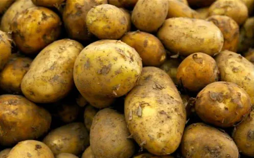 A Grade Fresh New Potato 1Kg