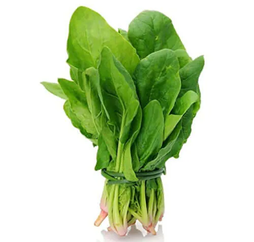 Fresh Palon Sakh Spinach (500g) ほうれん草 Palak
