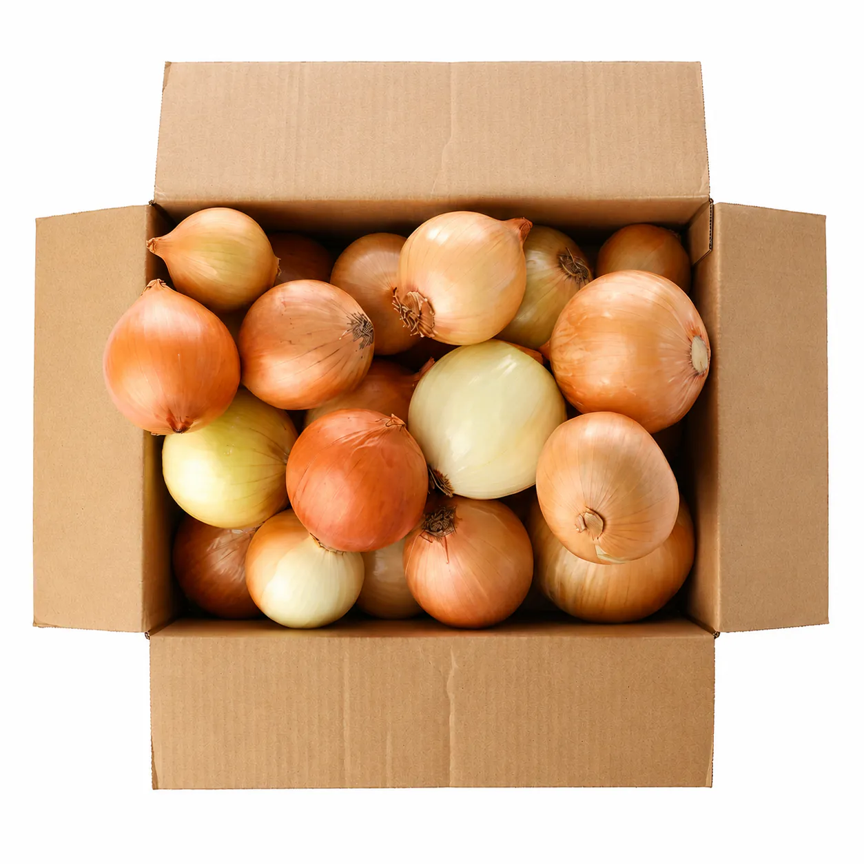White Onion (10kg) (±100g)
