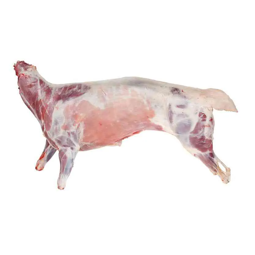 Lamb