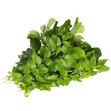 Fresh Curry Leaves / Kadhipatta /Daun Kari 50g