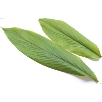 DAUN KUNYIT/ Turmeric Leaves FROZEN DAUN KUNYIT/ Turmeric Leaves FROZEN