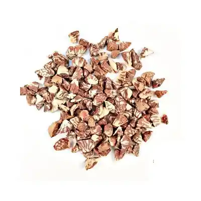 Betel Nuts Small Cut (Supari) (200g) Betel Nuts Small Cut (Supari) (200g)