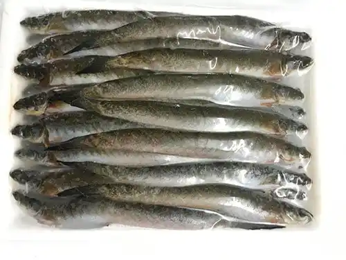 Frozen Goby / Keo Fish 500g Frozen Goby / Keo Fish 500g