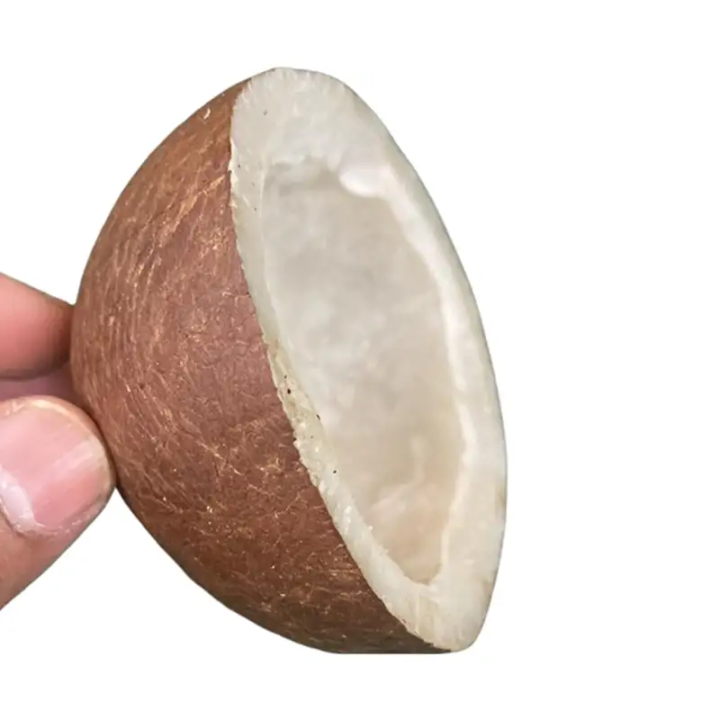 Dry Coconut Half Cut (100g) Dry Coconut Half Cut (100g)