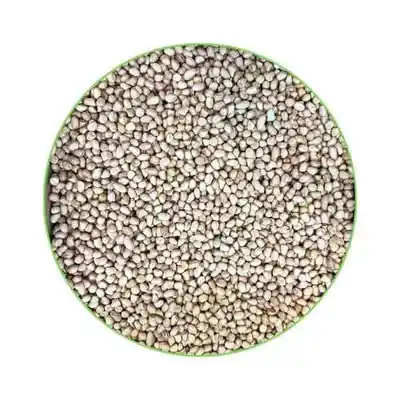 Peanut (25kg Box) (Without Pack) Peanut (25kg Box) (Without Pack)